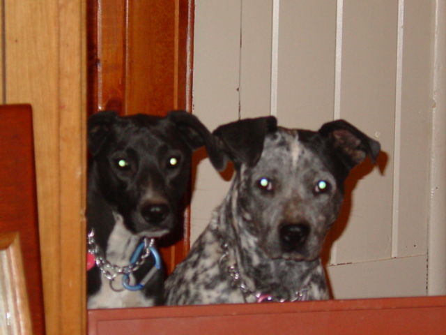Sash and Sage