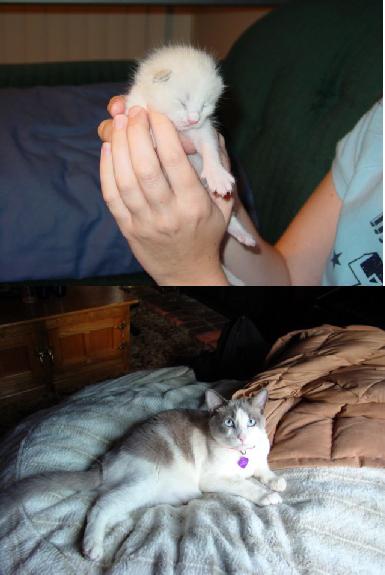 Toby then and now