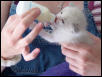 Bottle feeding Toby