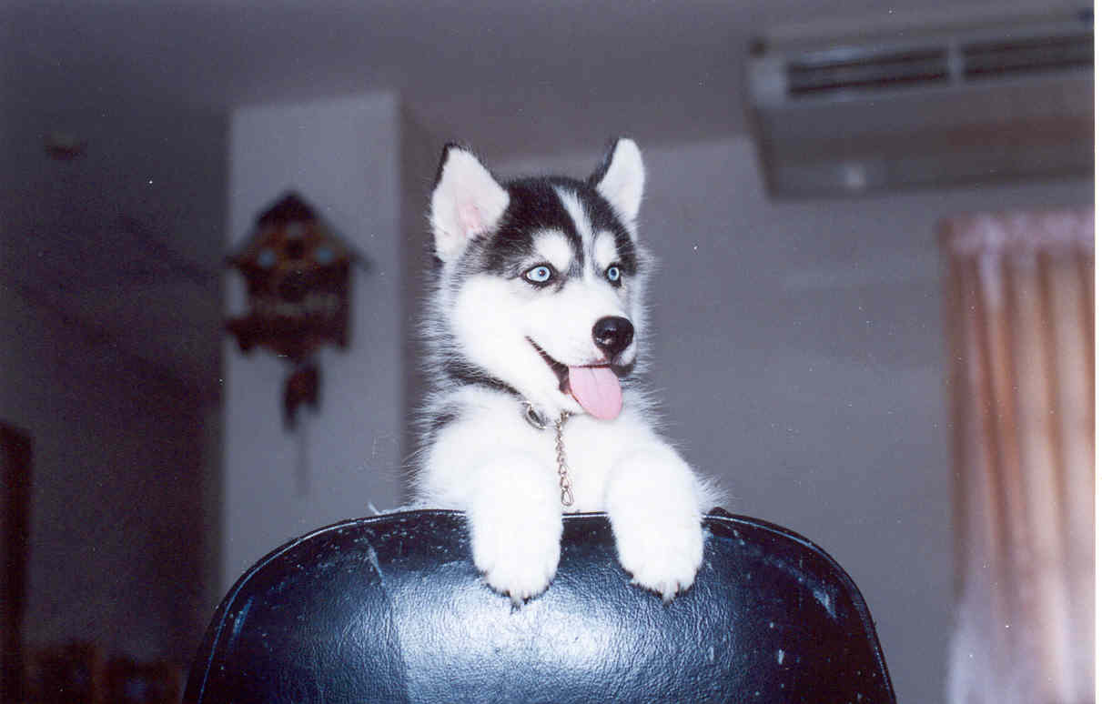 Cooper in the magazine