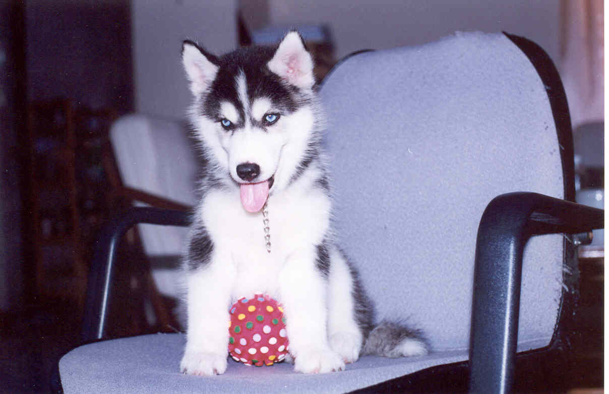 Don't touch my ball!