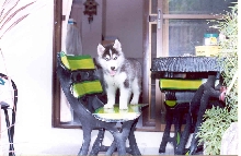 Hey! welcome to my home