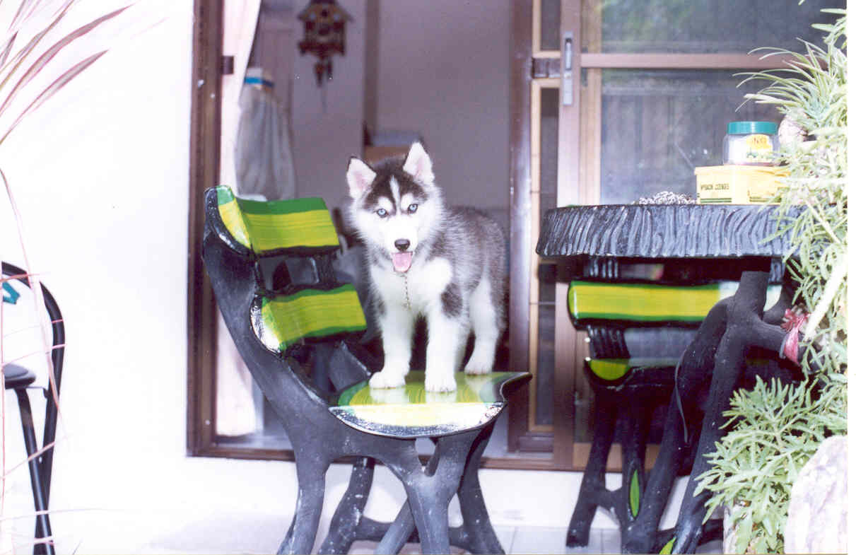 Hey! welcome to my home