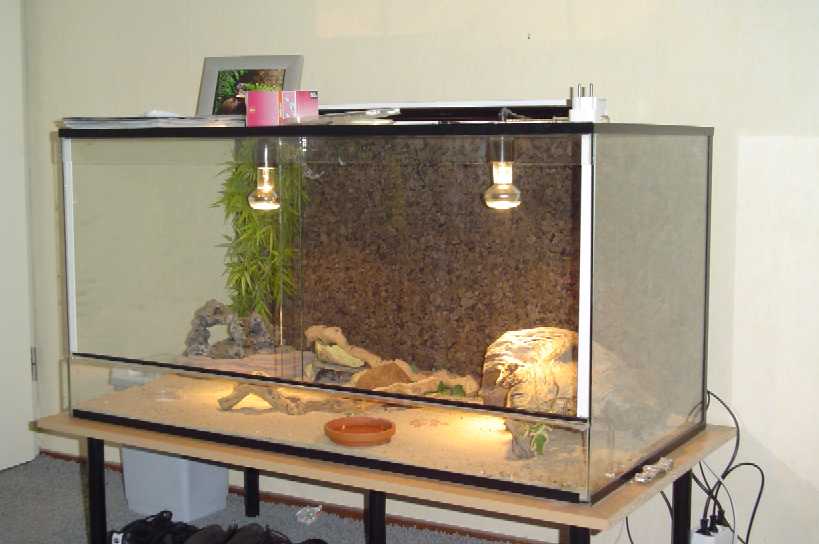 Tank
