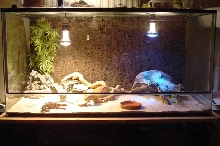 My Tank