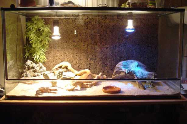 My Tank
