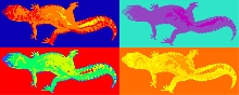 Weeman Warhol