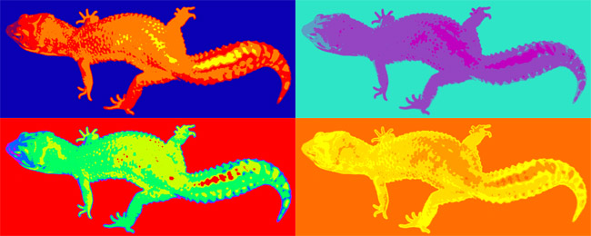 Weeman Warhol