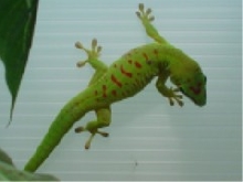 Add1