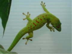 Add1