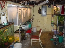 My Basement