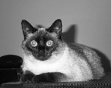 Sophie sits pretty