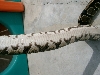 DBP02