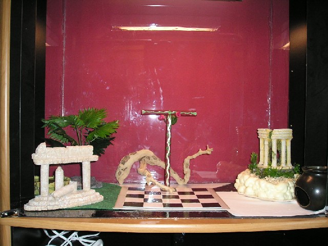 My Aesculapians Cage