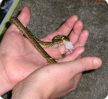 Eating from my hand
