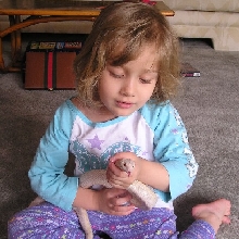Family Pet