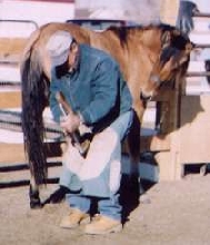 Woxhoox's second hoof trim