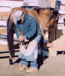 Woxhoox's second hoof trim