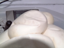 dented egg