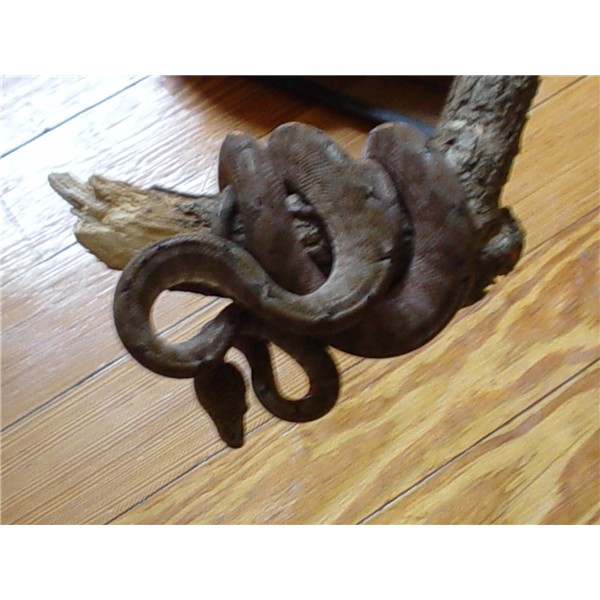 female1