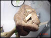 female3