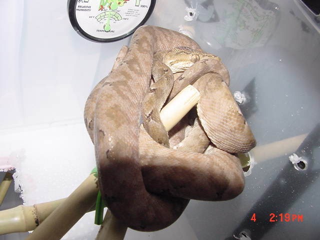 female3