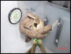 female5