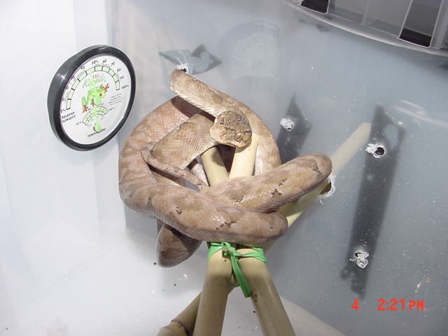 female5
