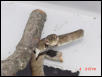 male1