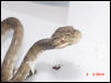 male3