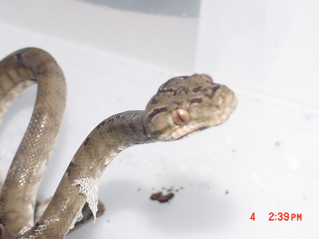 male3
