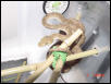 female7