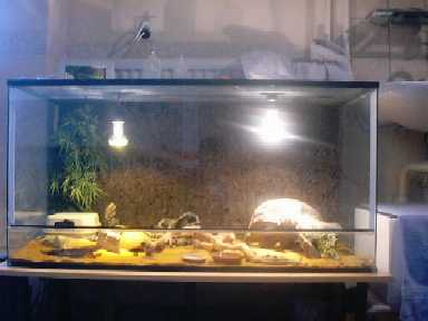 Hey Ief...Remember mine??