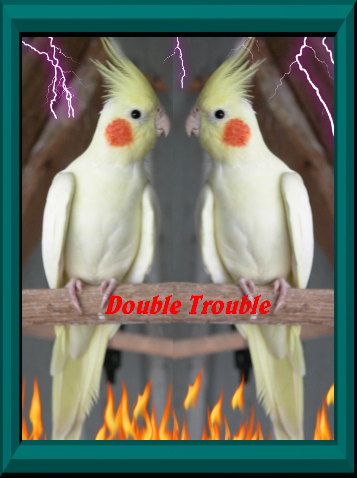 Twins