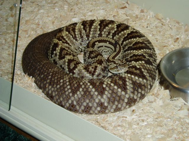 m1