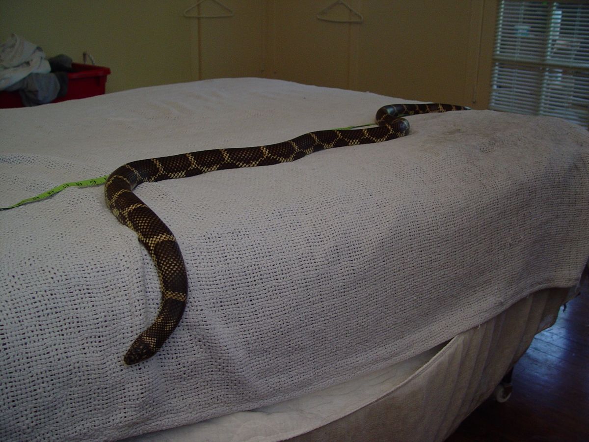 Darien Co, GA Eastern