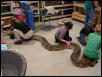 UPenn vet school comes to visit baby
