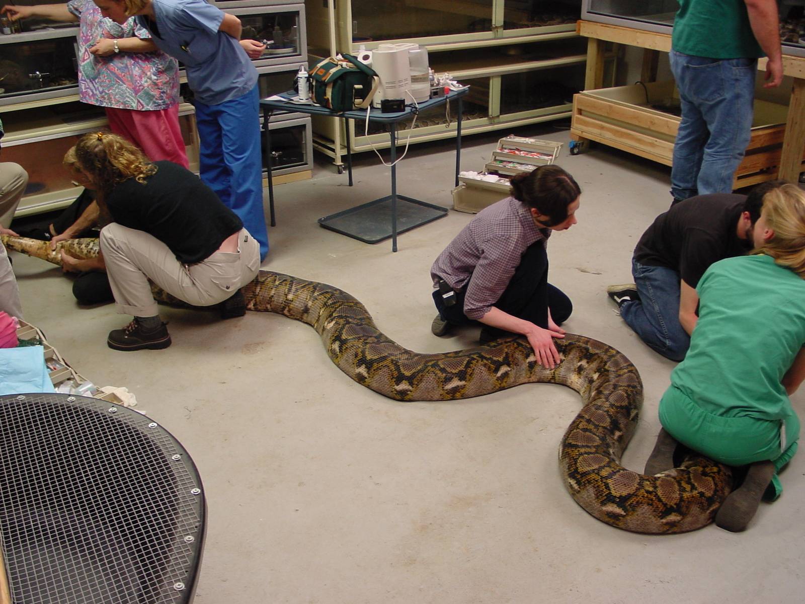 UPenn vet school comes to visit baby