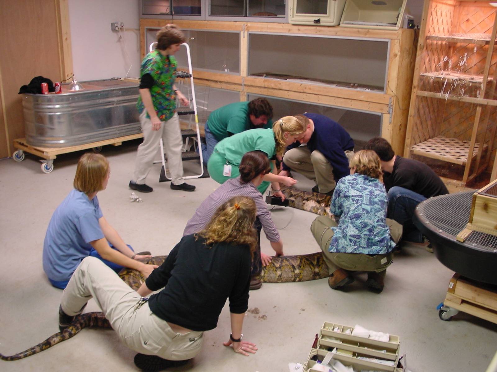 UPenn vet school comes to visit baby