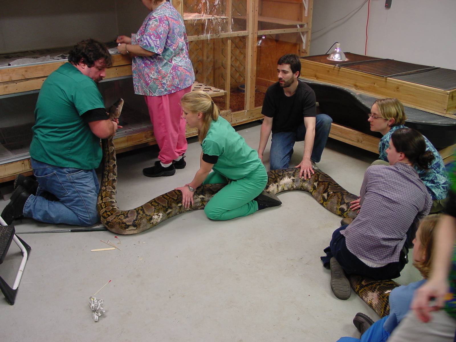 UPenn vet school comes to visit baby