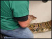 UPenn vet school comes to visit baby
