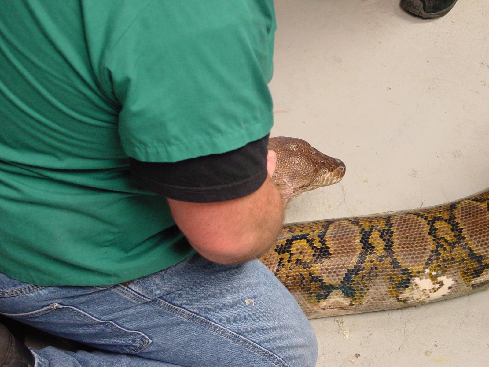 UPenn vet school comes to visit baby