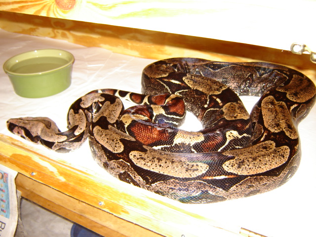Nice cage pic of 13 footer.