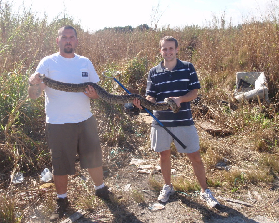 Florida burm