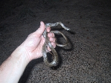 Bimini racer