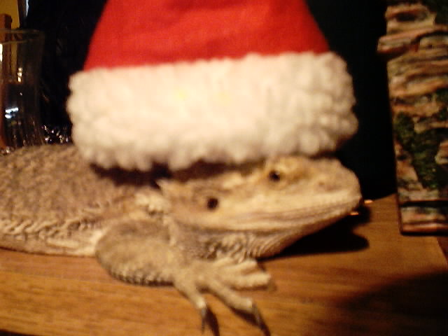 Santa Spunky