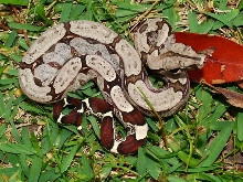 number7