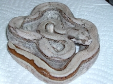 Striped DH Ghost1