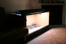 Desert Ig Cage
