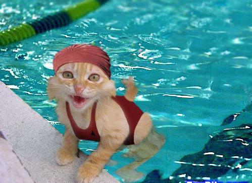 AquaKat